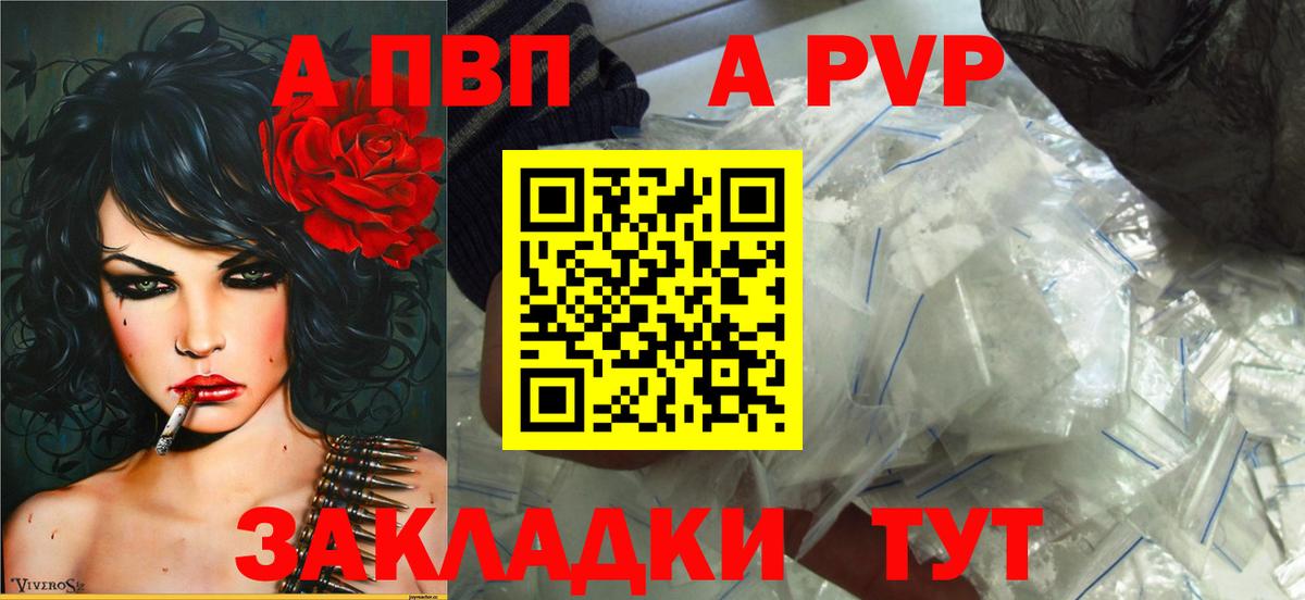 Alfa_PVP СК Тара