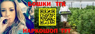 дурь Можга