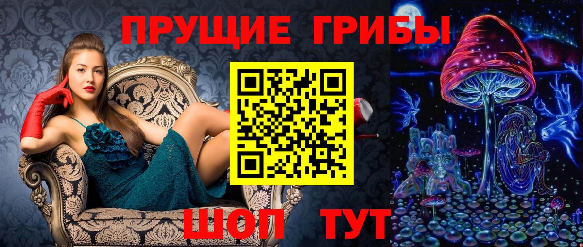 Галлюциногенные грибы MAGIC MUSHROOMS  Вход с VPN  Тара  Галлюциногенные грибы ЛСД 