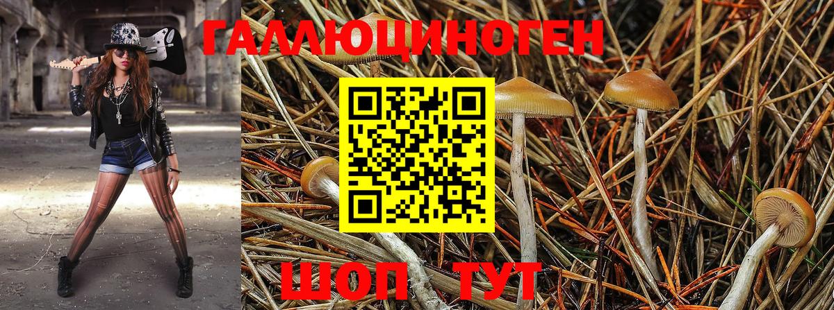 Галлюциногенные грибы MAGIC MUSHROOMS Тара